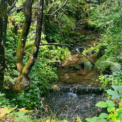 22-09-11 11-07-53 1992